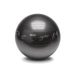 TRAINER STABILITY BALL